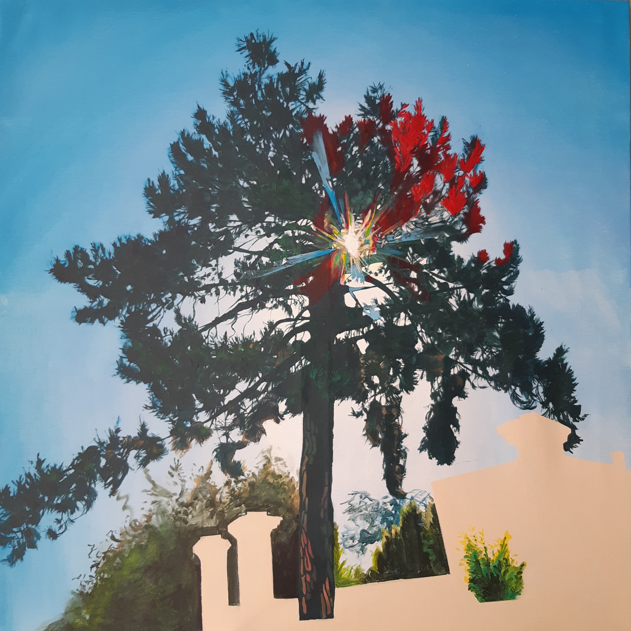 Acrylique sur toile, vue en plongée d'un pin traversé par les rayons du soleil, par la peintre Juliette Lamarca, Galerie Virginie Baro