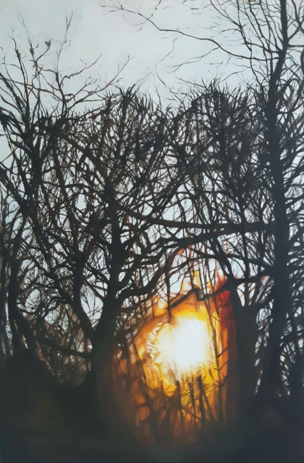 Acrylique sur toile, de branches d'arbre effeuillées traversées d'un coucher de soleil, peintre Juliette Lamarca, Galerie Virginie Baro