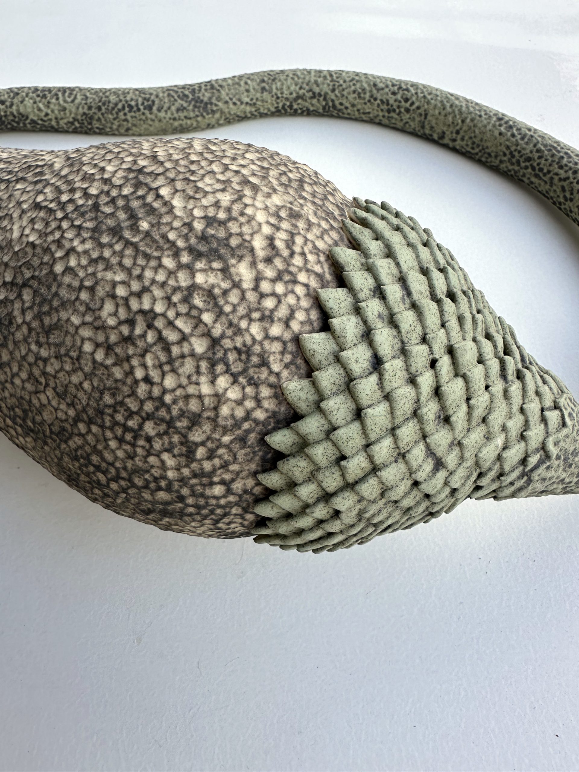 Céramique contemporaine modelée, engobée, émaillée évoquant un végétal par Éliane Monnin, représentée par la Galerie Virginie Baro