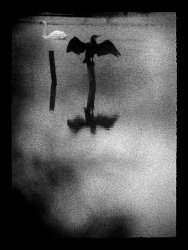 Tentative d’intrusion 1, Abel Bourgeois
