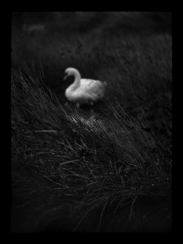 Tentative d’intrusion 2, Abel Bourgeois
