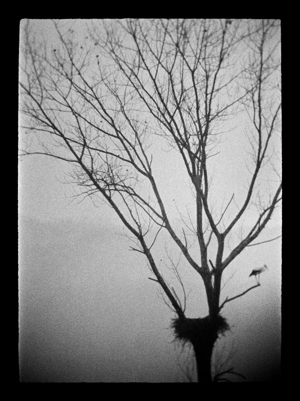 Tentative d’intrusion 4, Abel Bourgeois
